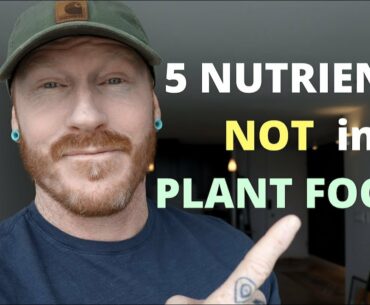 5 (IMPORTANT) Nutrients NOT found in PLANT FOODS / the Vegan Diet