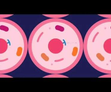 Covid-19 Autoimmune Disorder (Pt4)