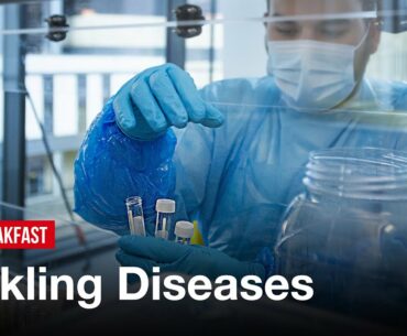 'Massive optimism' coronavirus advances will help fight other deadly diseases:  Luke O'Neill