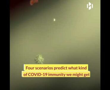 Four scenarios predict what kind of covid-19 immunity we might get updates