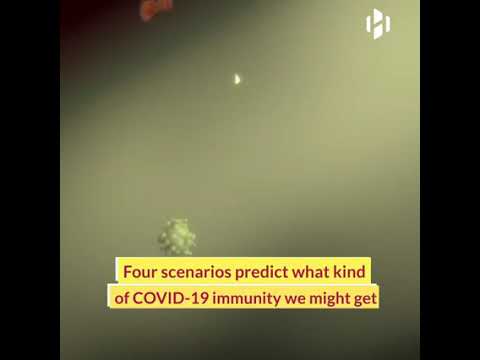 Four scenarios predict what kind of covid-19 immunity we might get updates