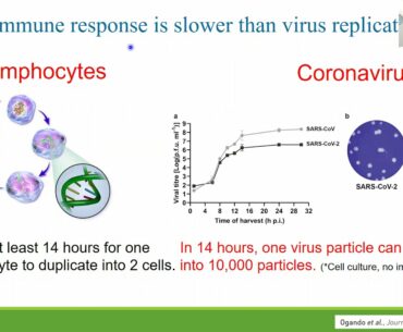 Covid19 vaccines and Immunity