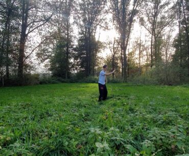 Easy 5 minutes Qi Qong for health and a stronger immune system (e.a. protective against corona)