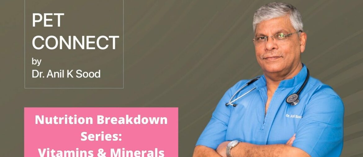 Are vitamin & mineral supplements necessary for your pet? Dr Anil K Sood answers