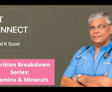 Are vitamin & mineral supplements necessary for your pet? Dr Anil K Sood answers