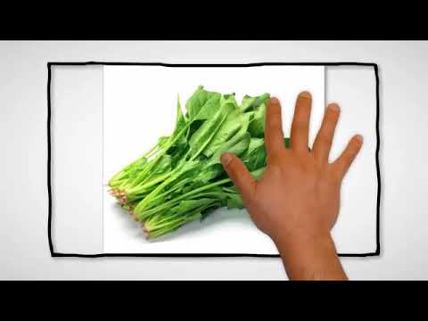 9 Healthy Benefits Of Spinach, Healthy Spinach Juice