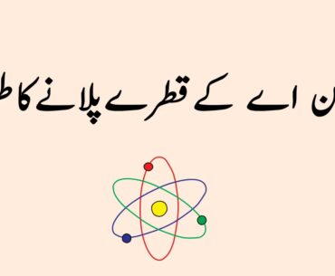 training on vitamin A