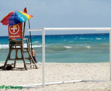 Evolutionary argument for optimal vitamin D level