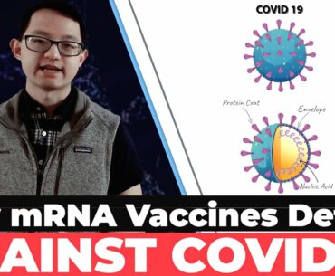 How mRNA Vaccines Defend Against COVID-19