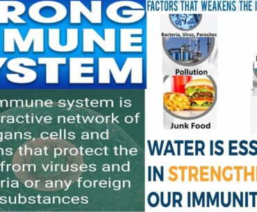 Make your Immune system Bullet proof Now. Ways to boost Immune system and prevent illness Naturally.