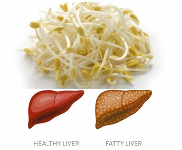 HEALTH BENEFITS OF BEAN SPROUTS