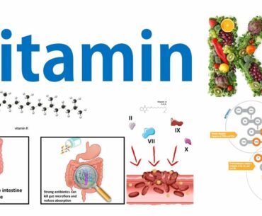 Vitamin K and blood clotting