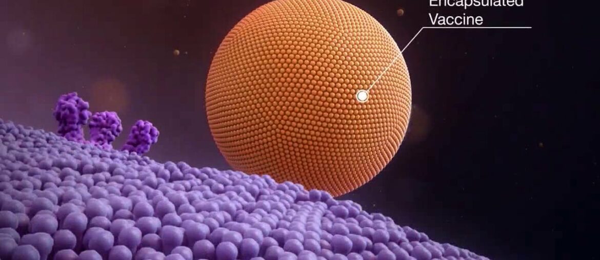 COVID-19 Vaccines | The Hype and The Facts