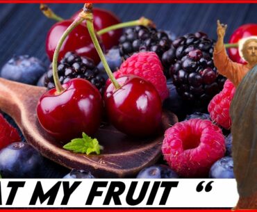 New Diet Study Matches Genesis? Fruits Against covid? Fasting | Apologetics | wellbeing | News.