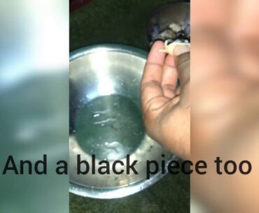 Clam recipe/ Sri lankan type curry/ best fertility immunity