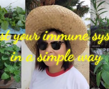 Boost your immune system, get Vit D-El CatTV