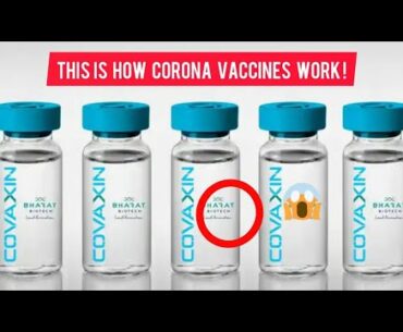 Corona virus vaccine details | This is how Covaxin and Covishield Work |