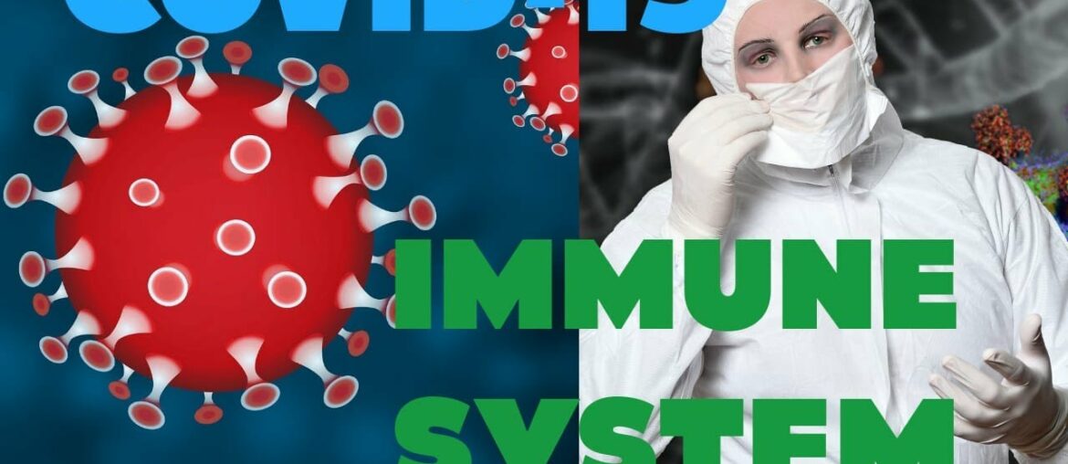 Covid-19 Immunization, Coronavirus, Vaccines, White Blood Cells,  B & L Lymphocytes & Macrophages.