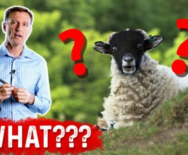 Vitamin D Comes From Sheep's Wool: WHAT???