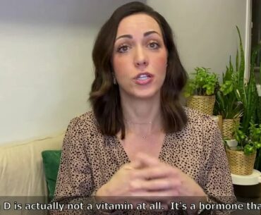 Immune Supporting Supplements for Your Pet