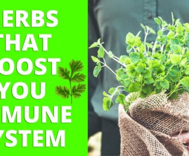 8 Herbs and Seeds to Boost Your Immune System (Kill Viruses Naturally)