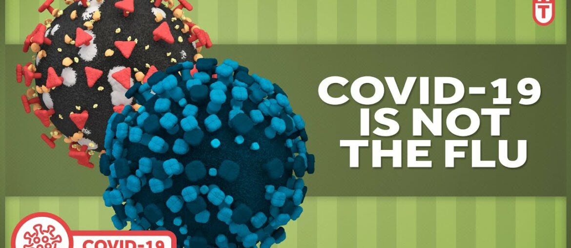 Covid-19 is NOT the Flu