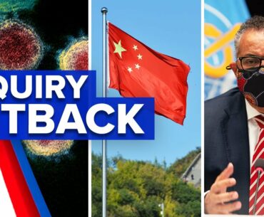 Coronavirus: COVID-19 origins inquiry set back by China visa delay | 9 News Australia