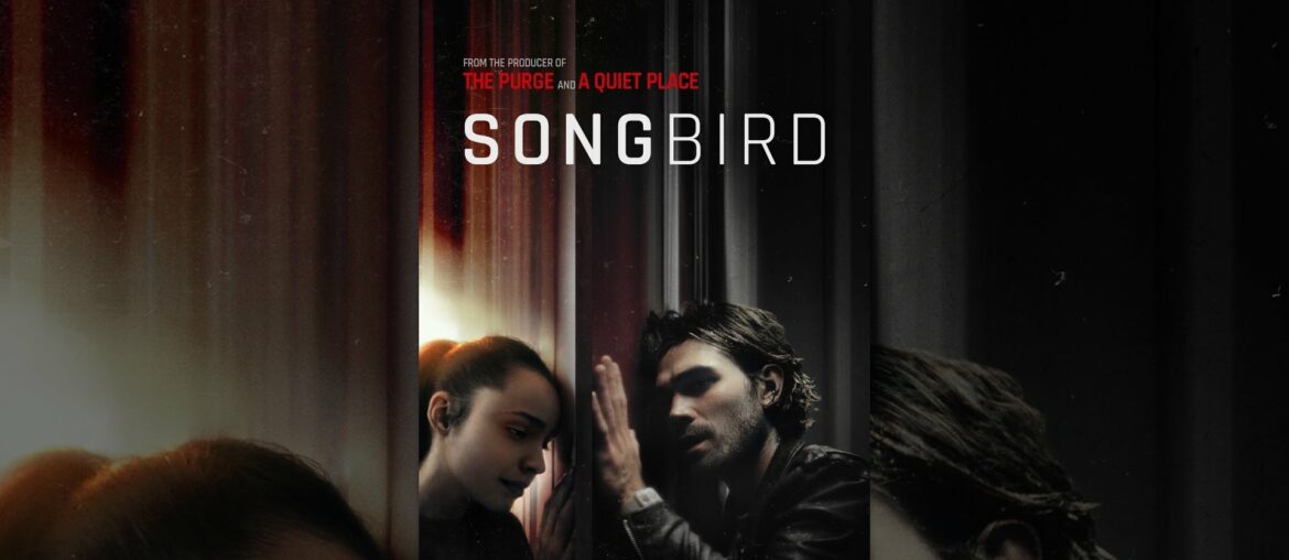 Songbird