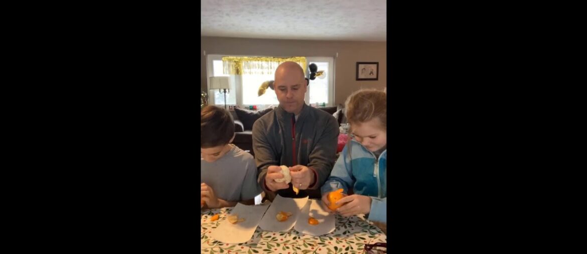 Citrus Fruits Tasting