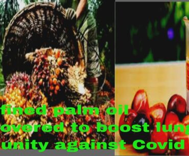 Unrefined palm oil discovered to boost lungs immunity against Covid -19.