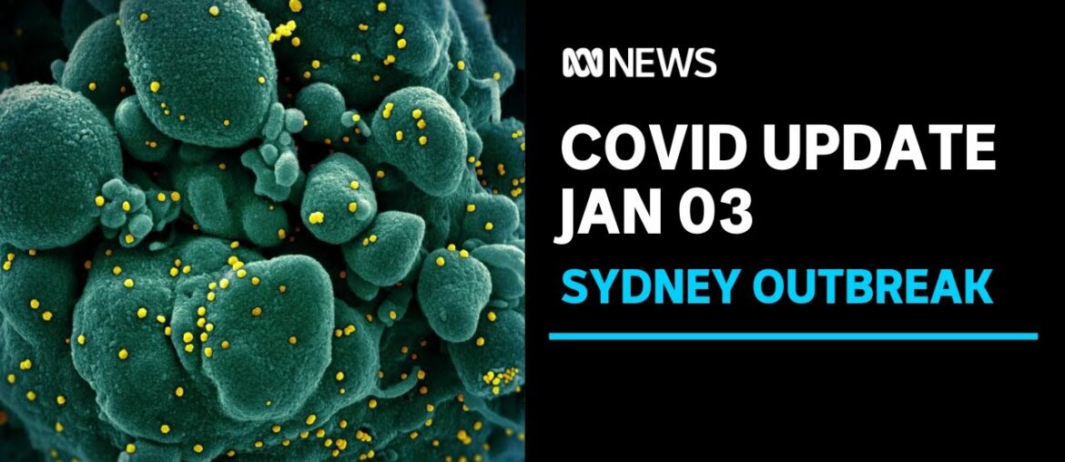NSW records eight new COVID-19 cases, outbreak at BWS store now 'critical'  | ABC News