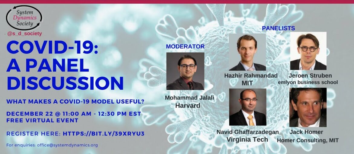 Modeling COVID-19: A Panel Discussion