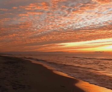 Become immune to the negative side effects of the Covid-19 vaccine (Subliminal ) ( just in case )