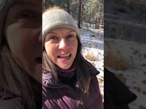 Pro Tip: COVID & Building Resilience