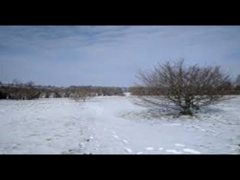 I got the covid 19 virus. Why I recommend taking vitamin C.