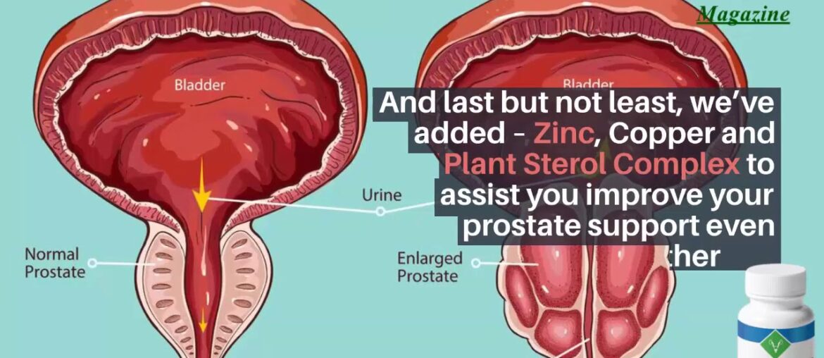 ProstaStream Ingredients Does ProstaStream Ingredients Really Work?