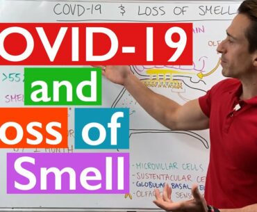 COVID-19 and Loss of Smell Explained