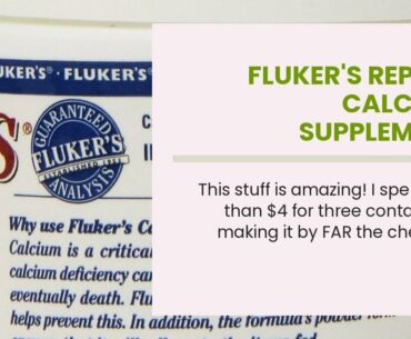 Fluker's Reptile Calcium Supplement Without Vitamin D3