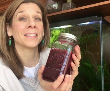 Fermented Sauerkraut Health Benefits