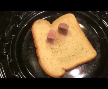 Calcium Vitamin Supplement Sandwich