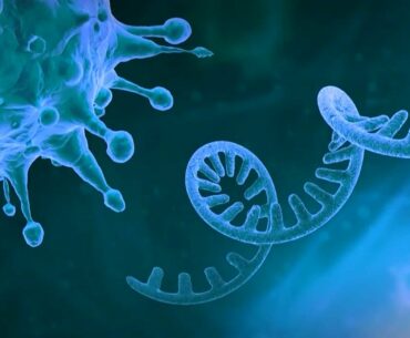 How does the coronavirus vaccine work? | VACCINE Q&A