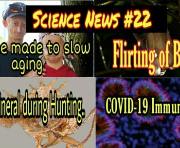 Vaccine developed to Slow Aging l Immunity against COVID-19 l Flirting of Bats l TYTAL Science
