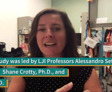 Why Declining Antibodies Don’t Spell Disaster for Long-Lasting COVID-19 Immunity
