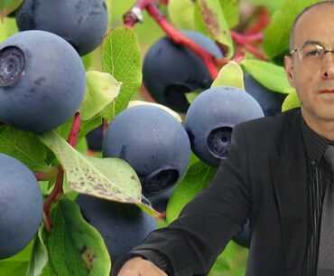 Why Should We Use Nutritional Supplements? - Doctor Murat Erkan