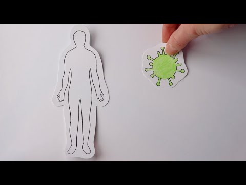 How the COVID-19 vaccines work