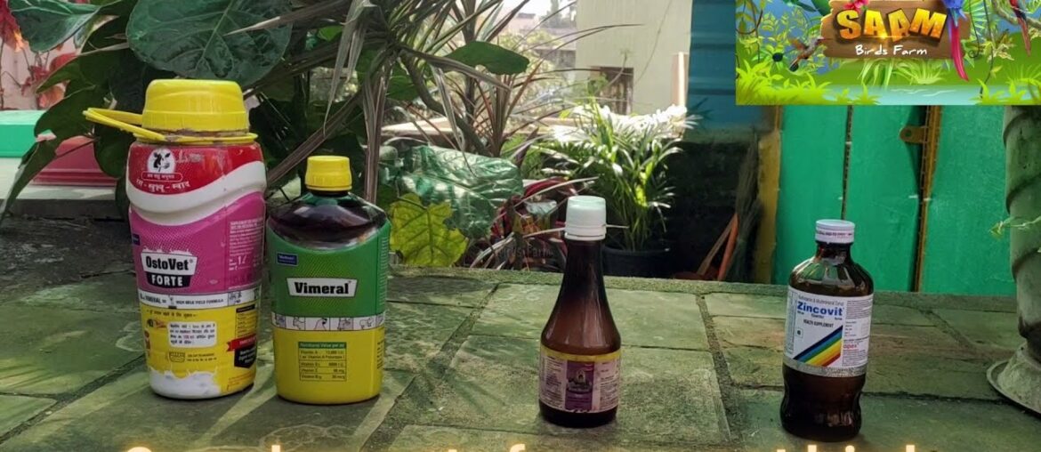 supplements for our pet birds