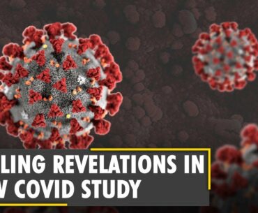 WION Fineprint: Coronavirus infection provides as much immunity as vaccines