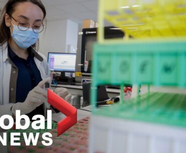 Coronavirus: How scientists track new variants of the virus