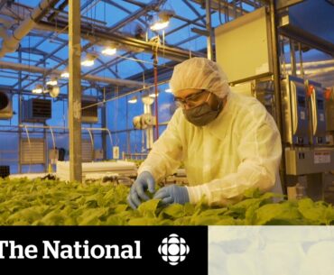 Canada’s long-term strategy to make vaccines for COVID-19 and beyond