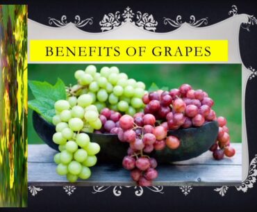 Grapes Benefits | Why you Need Grapes | By Fruits Bonuses